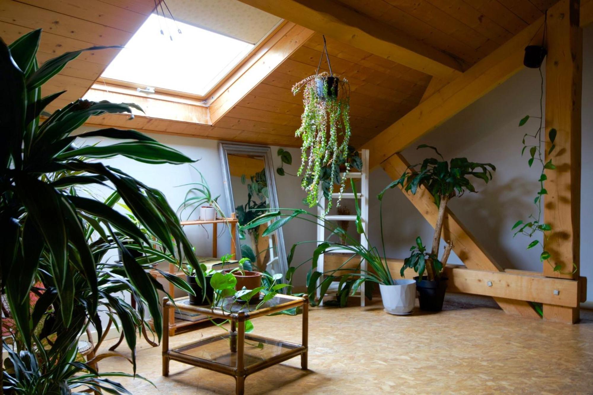 Loft Haut De Gamme Entre Verdure Et Ville Chaudefontaine  Ngoại thất bức ảnh